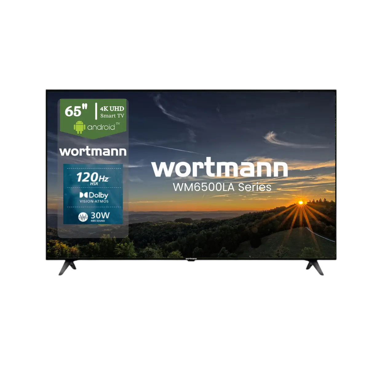 Wortmann India Television